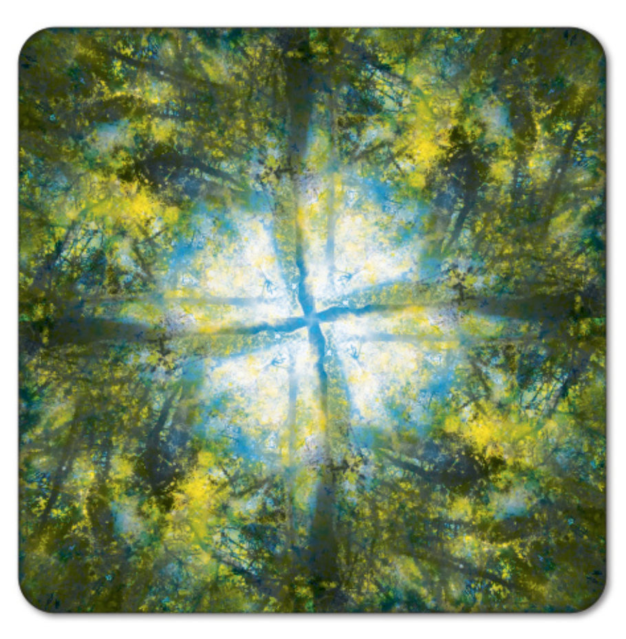 Bioluminescent Canopy Coasters (4 pack)