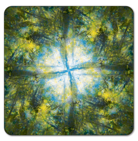 Bioluminescent Canopy Coasters (4 pack)