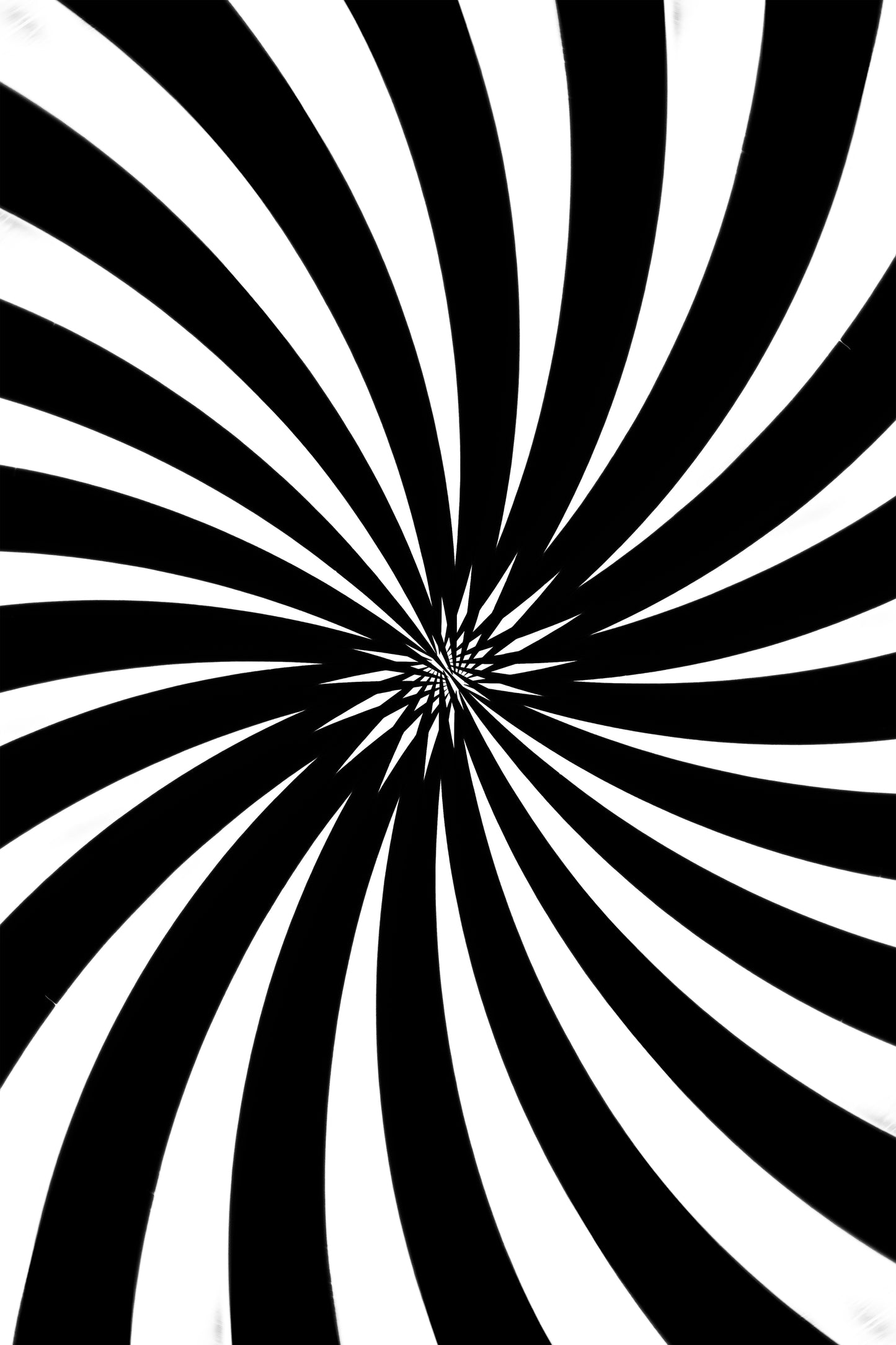 The Butterfly Effect Photo Print